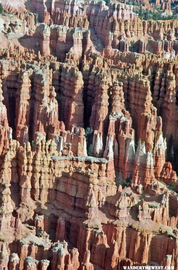 More hoodoos