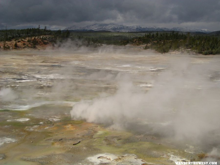 Norris Geyser Basin area