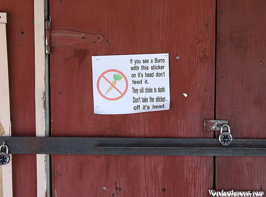 Oatman, Arizona