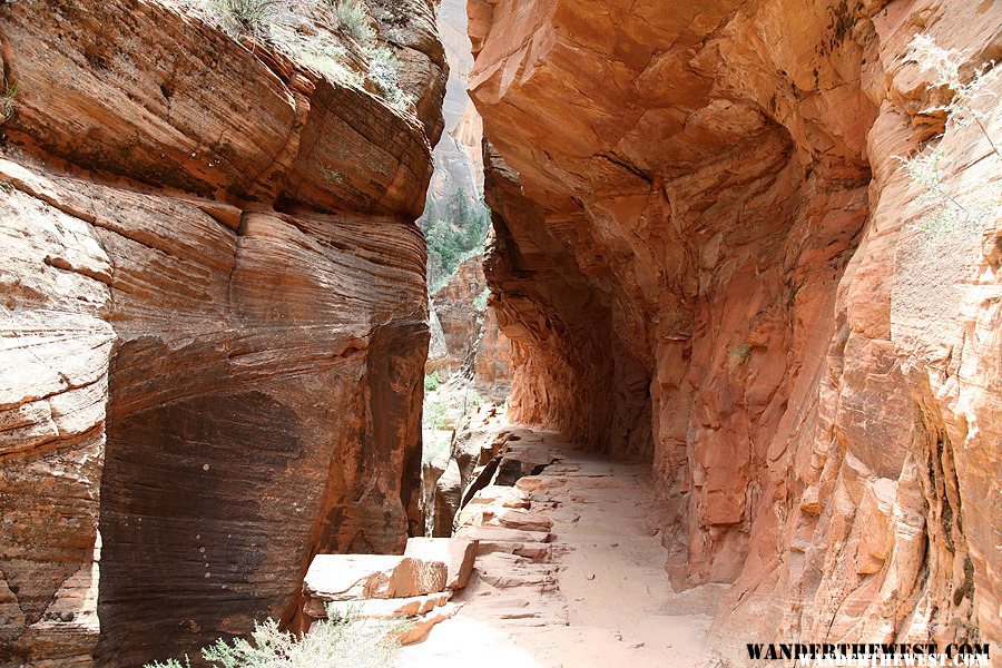 Observation Point Trail, Zion National Park