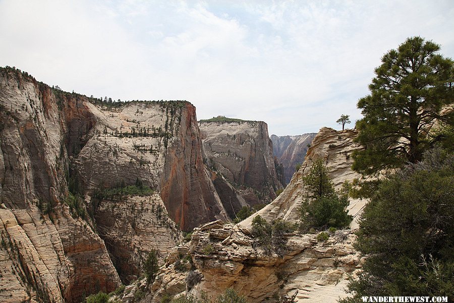 Observation Point Trail - Zion National Park