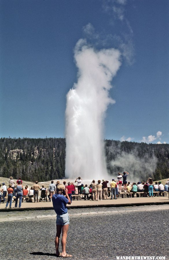 Old Faithful