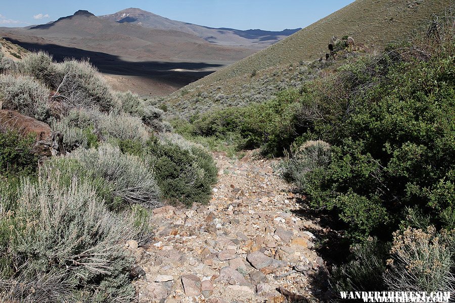 Old road, Leadville Nevada