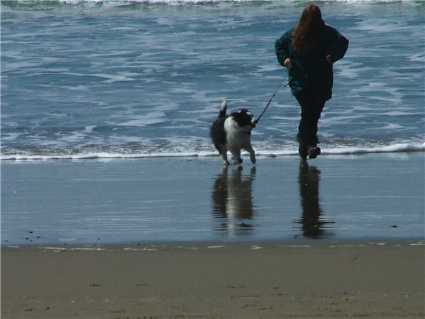 on the beach