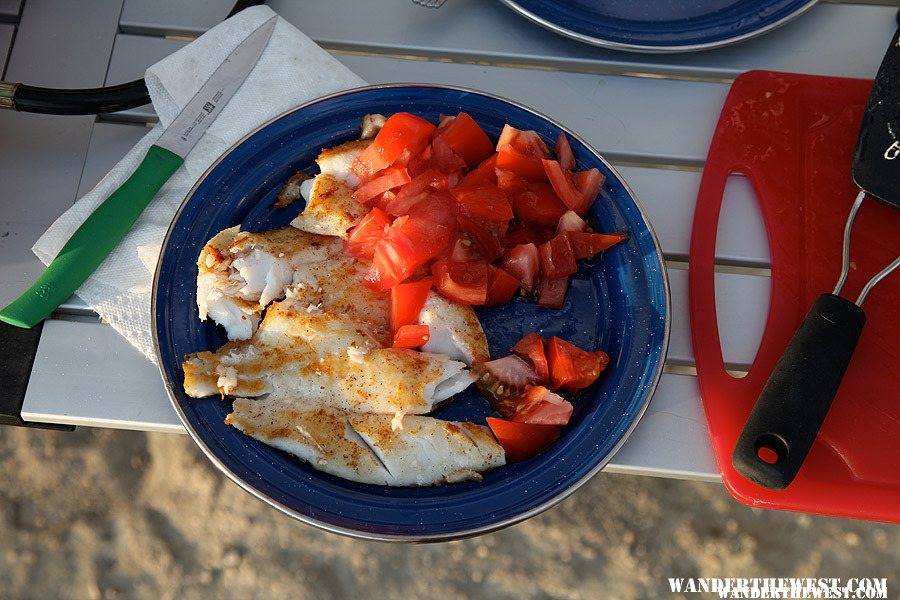 Orange roughy