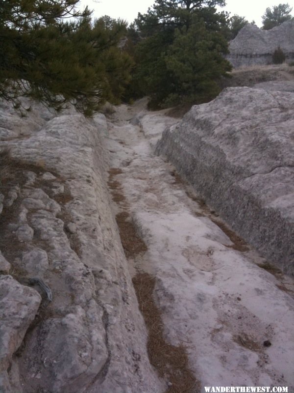 Oregon Trail Wagon Ruts