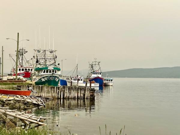 Our first view of York Harbour a small fishing village outside of Blow Me Down Provincial park, our home for the next week.