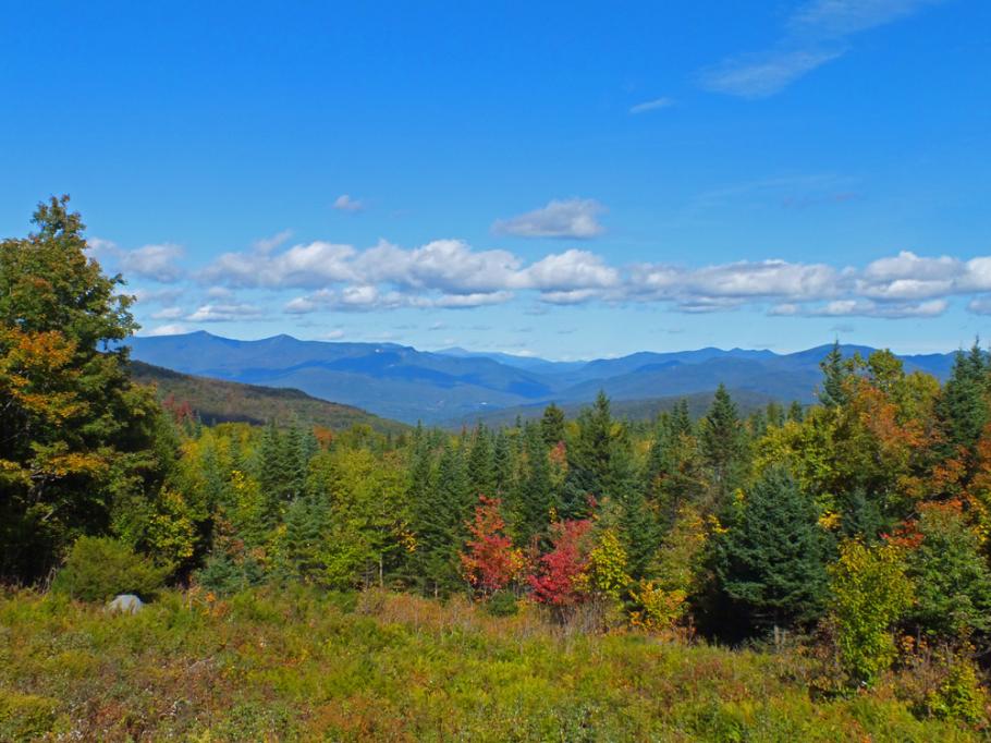 Overlook on N. Woodstock - Thorton Rd