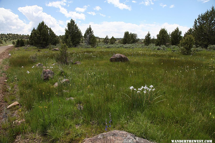 Owyhee Uplands Backcountry Byway