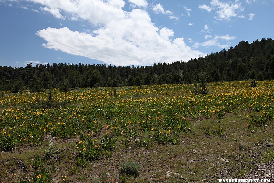 Owyhee Uplands Backcountry Byway