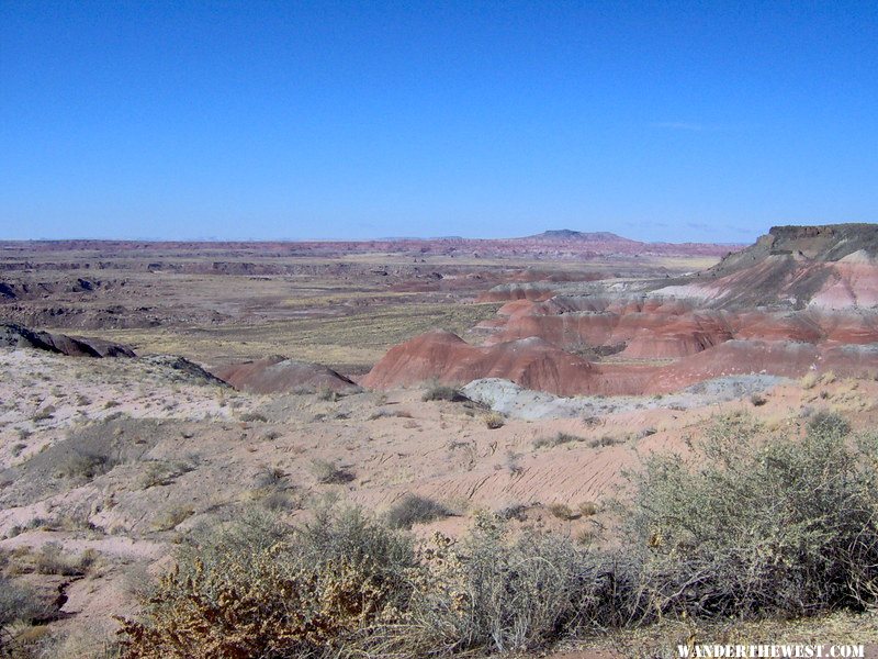 painted Desert