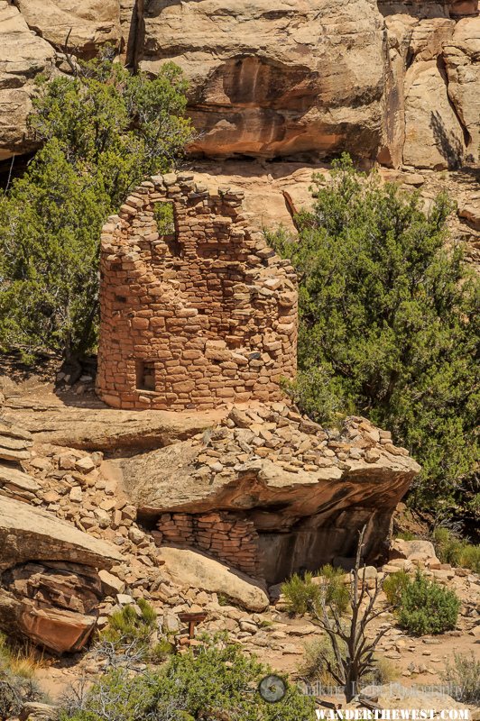 Painted Hand Tower