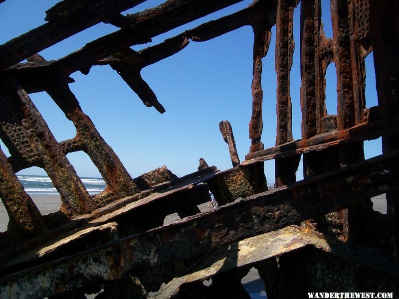 Peter Iredale