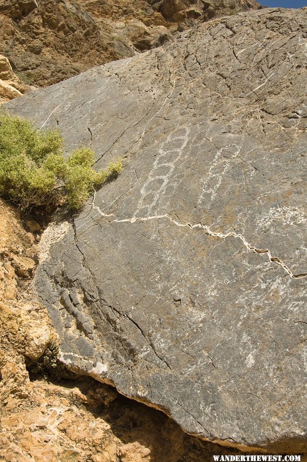 Petroglyphs ar Klare Sprigs in Titus Canyon