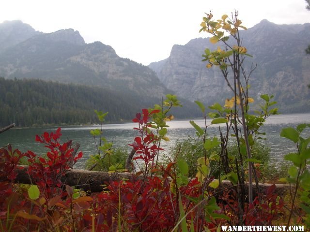 Phelps Lake trail