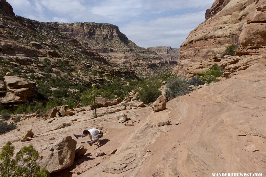 Pine Canyon Yoga