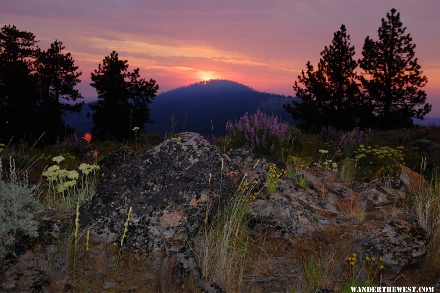 Pine Mountain sunrise June 2015