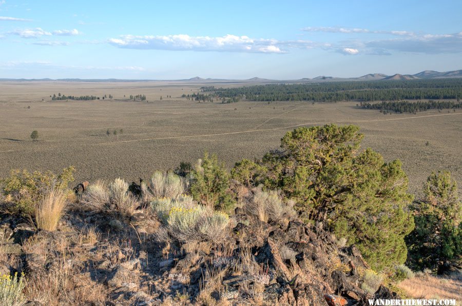 Pine Mt, view southeast:  Eastern edge of Oregon forests