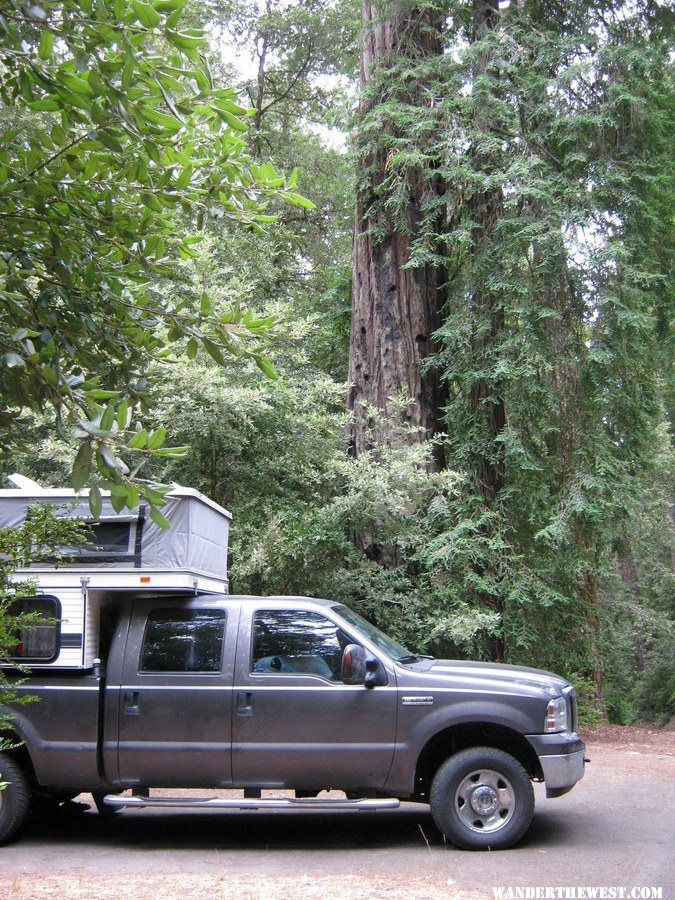 redwoods camp 1.jpg