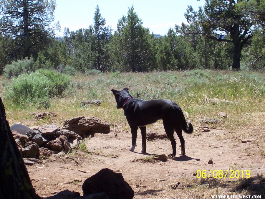 Res C Modoc NF