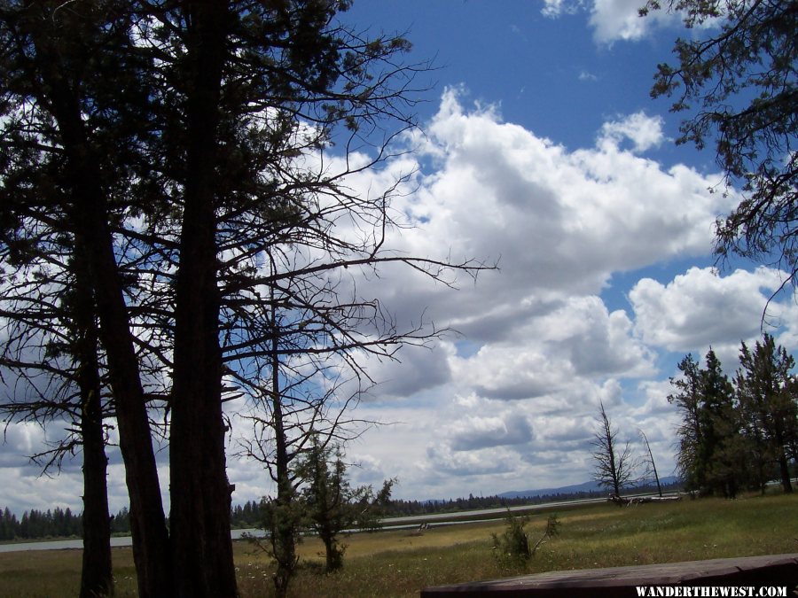 Res F Modoc NF-photo taktn on 6-15-16 not in 054