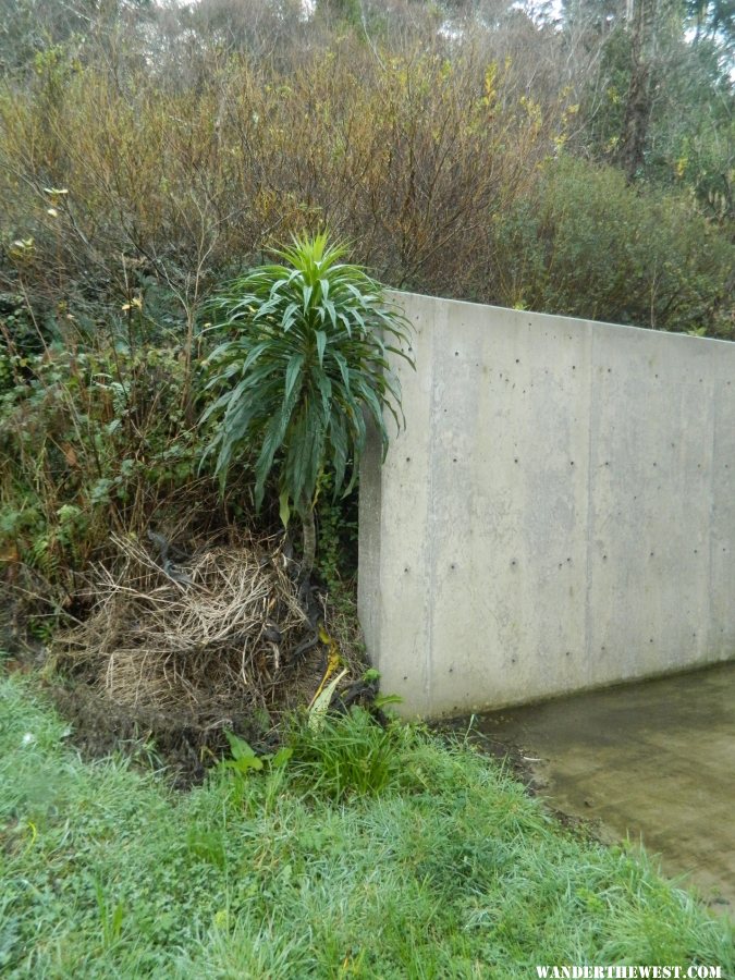 Retaining wall