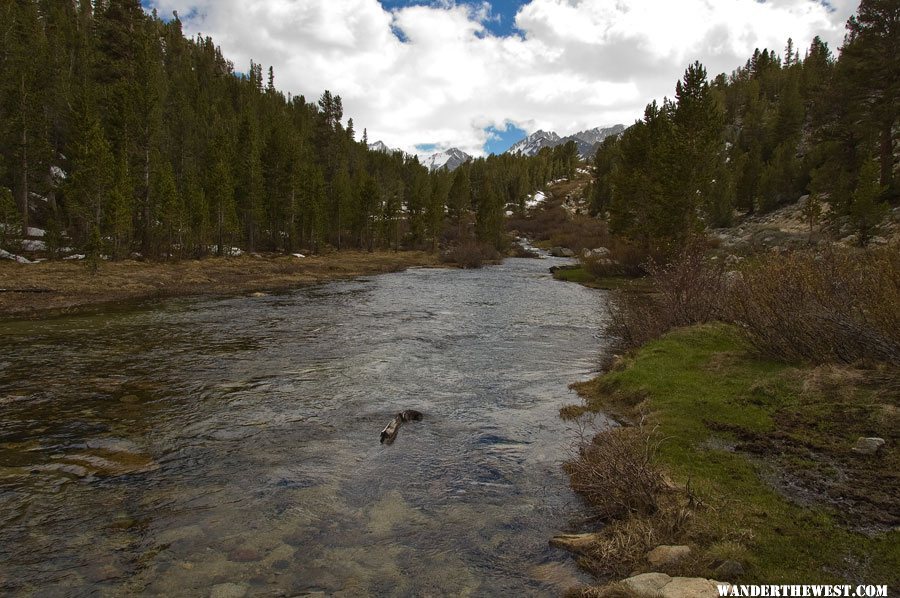 Rock Creek near Mosquito Flat