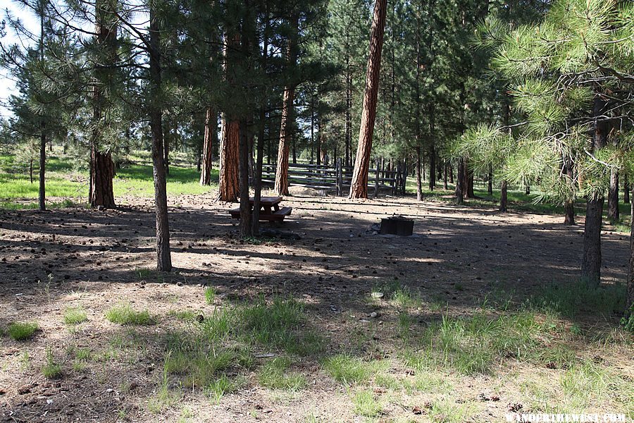 Scotts Campground - Ochoco Mountains