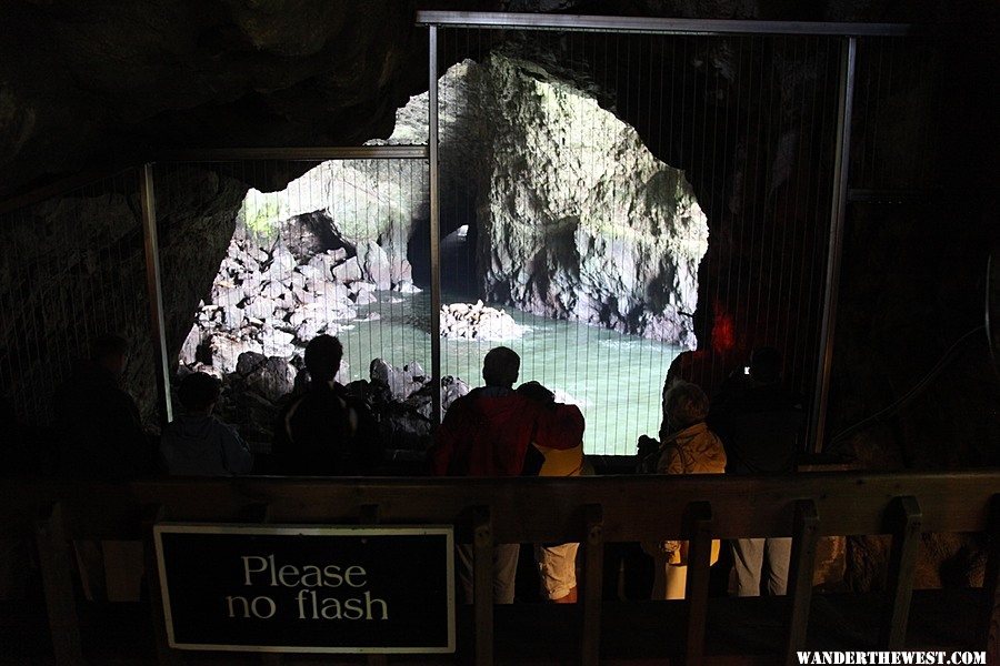 Sea Lion Caves