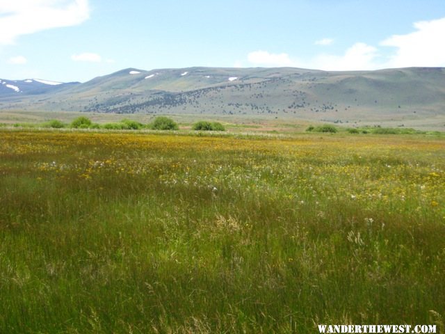 Sheldon National Wildlife Refuge, nevada