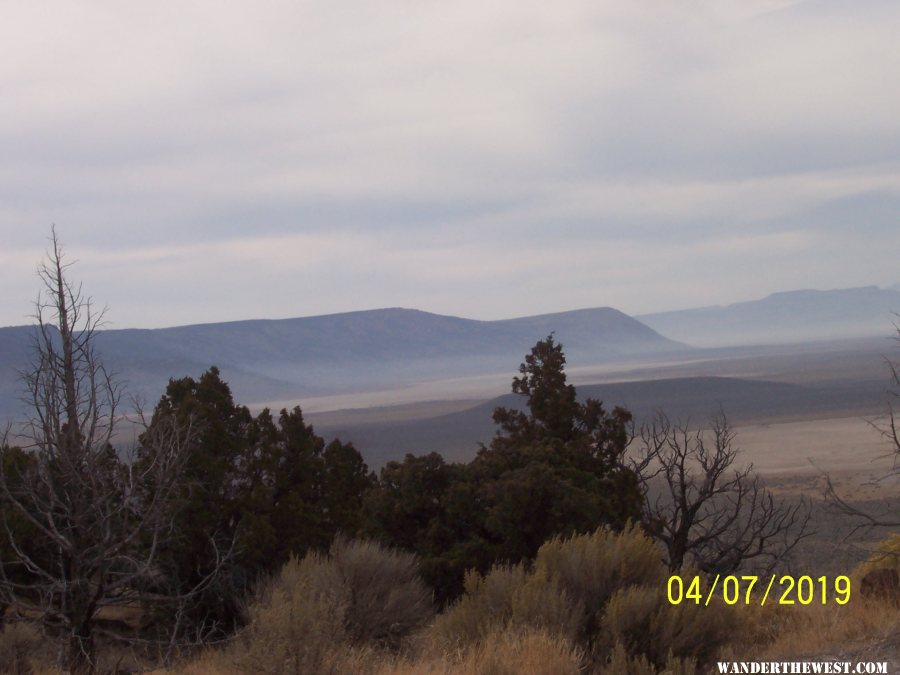 Sheldon NWR (04/07/2020)