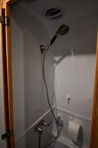 Shower Diverter Replaced