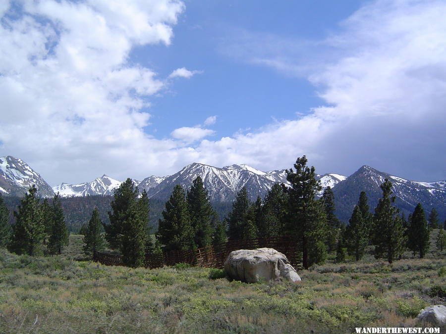 Sierra landscape