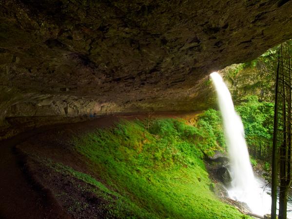 Silver Falls State Park,  Oregon