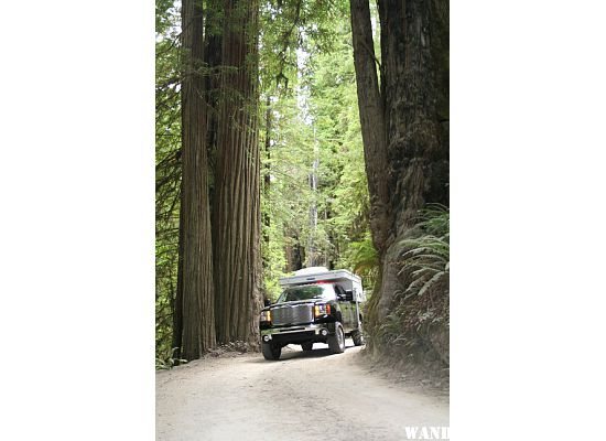 Smith River and Old Grove Redwoods