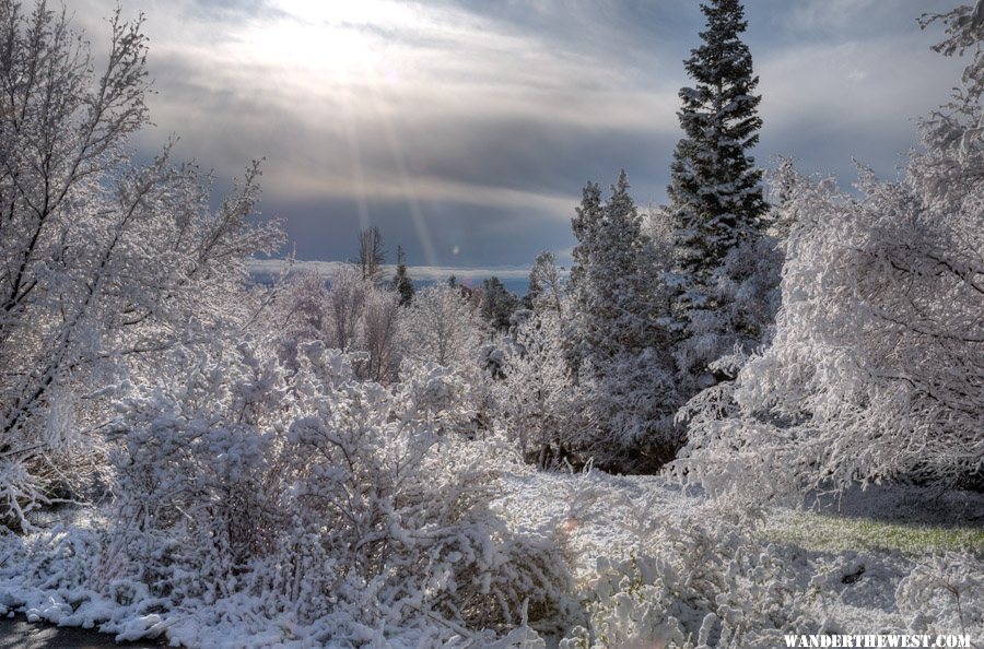 Snowy Morning I