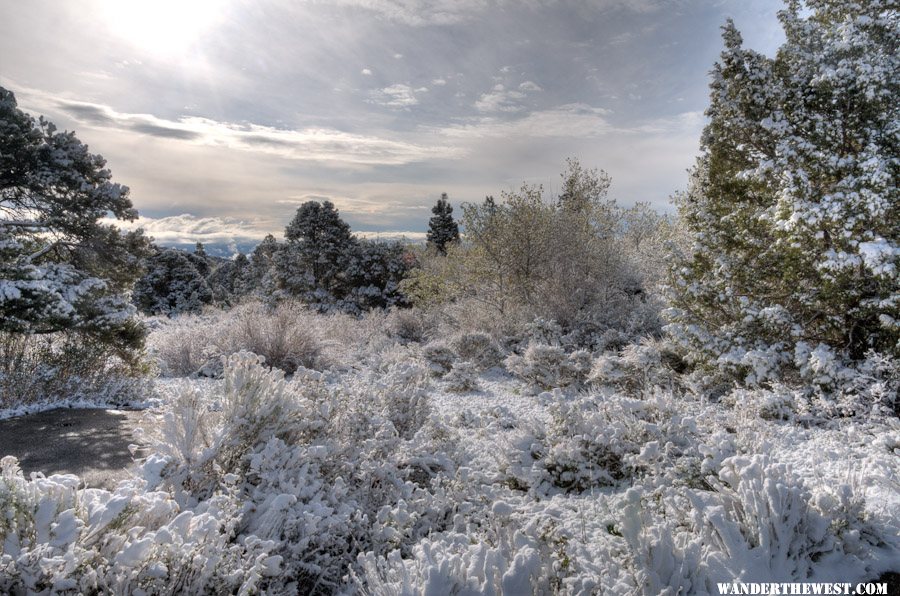 Snowy Morning II