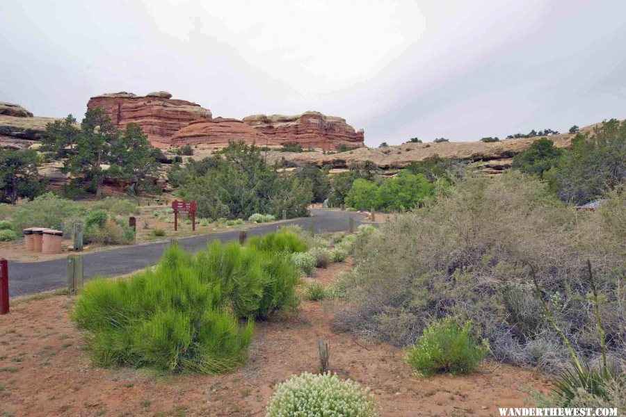 Squaw Flat Campground