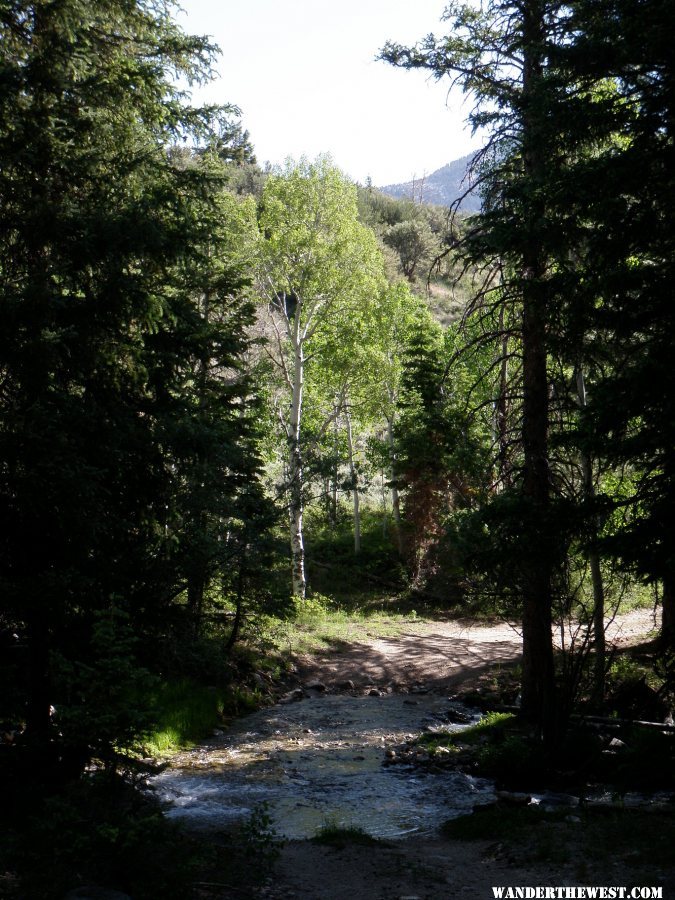 Stream Crossing into Snake Cr Camp