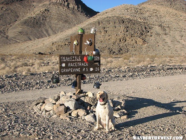 Teakettle Junction (Enroute to the Racetrack)