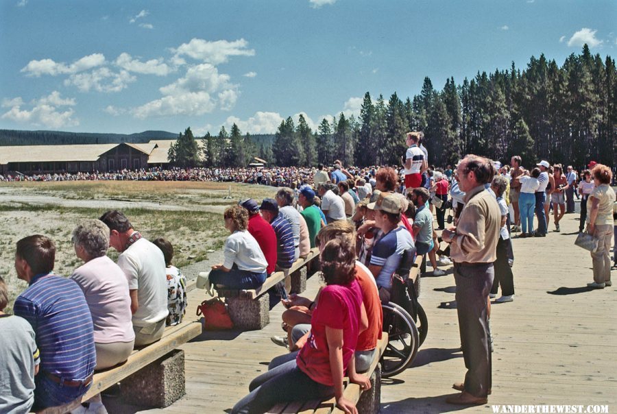 The faithful awaiting Old Faithful