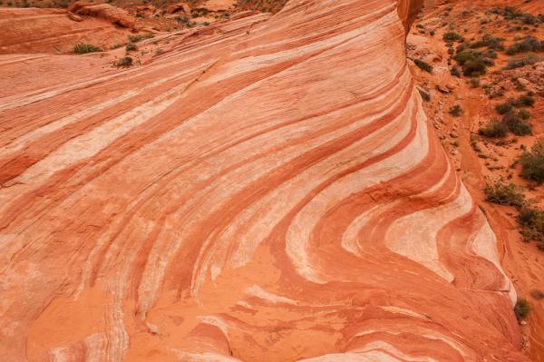 The Fire Wave, Valley of Fire State Park, NV