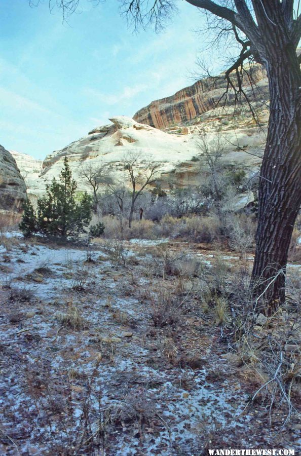 The Loop Trail on a Winter's Day