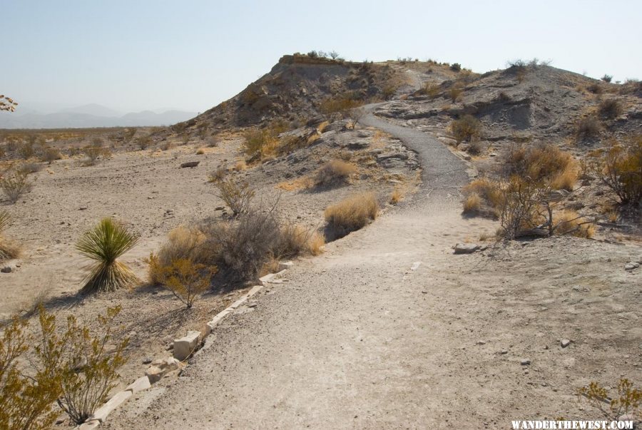 The Short Trail at the Fossil Bone Exhibit