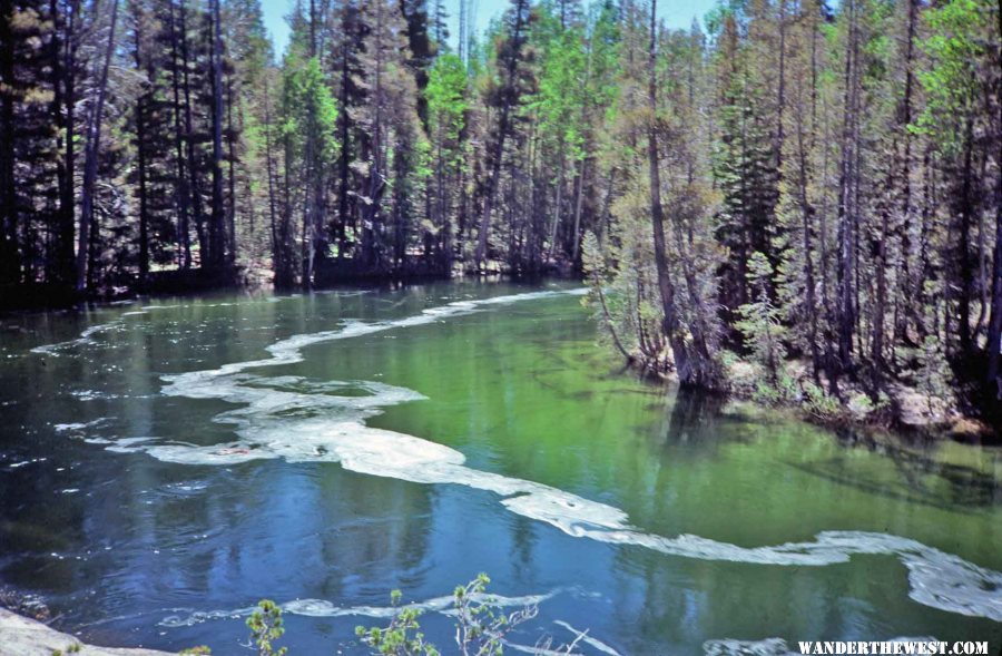 The Tuolumne River making is way to Hetch Hetchy