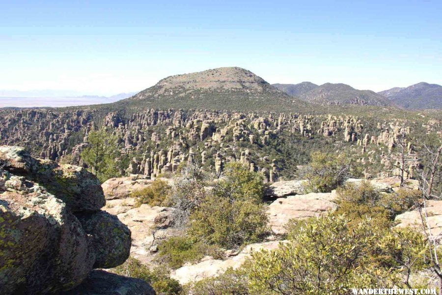 The view from the end of the trail