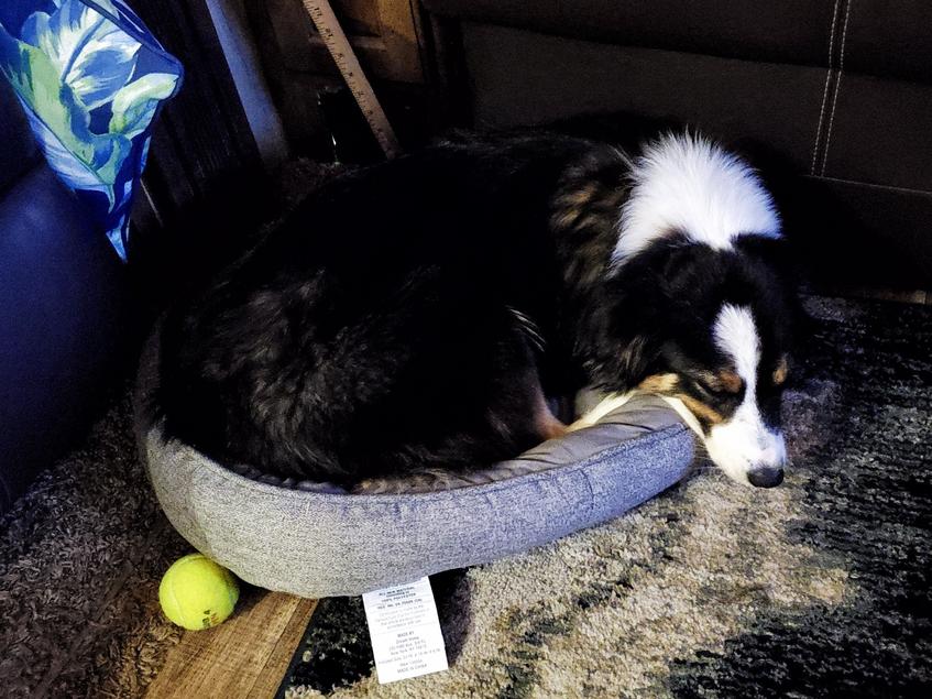 This bed is a little to small