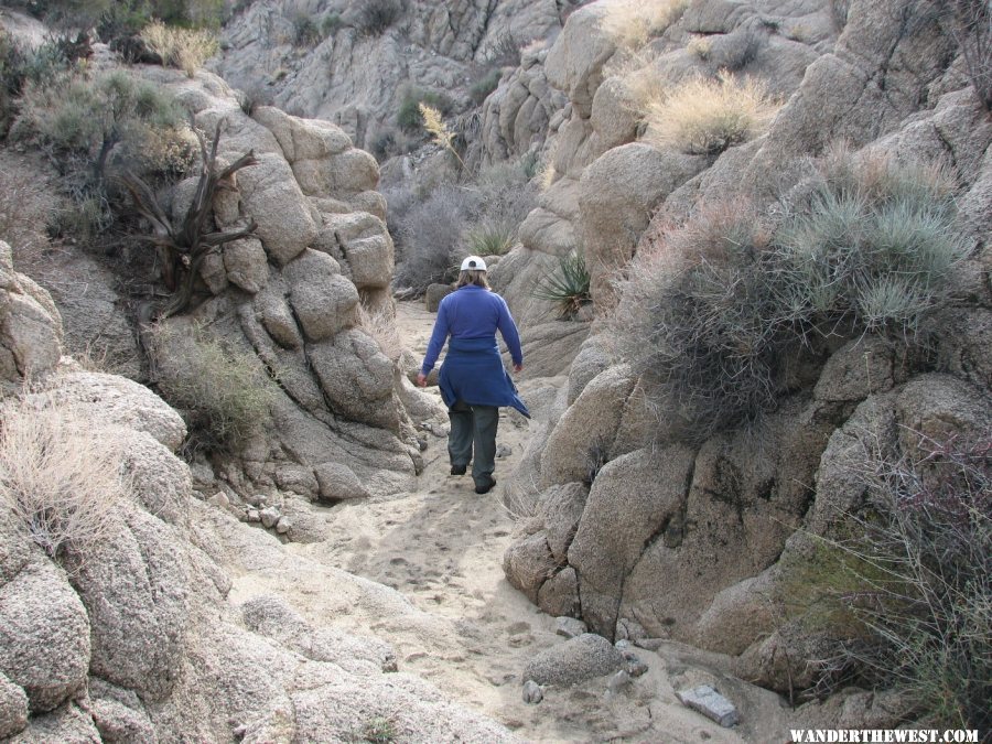 This hike takes you through narrow washes.