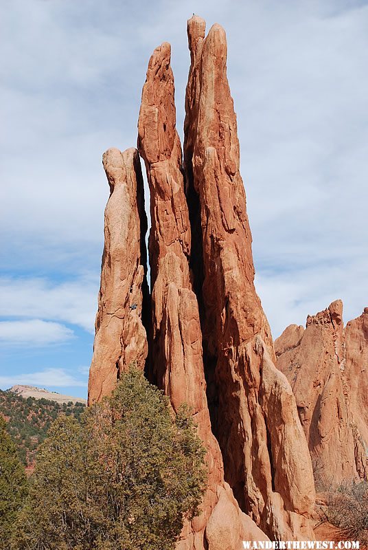 Three Graces