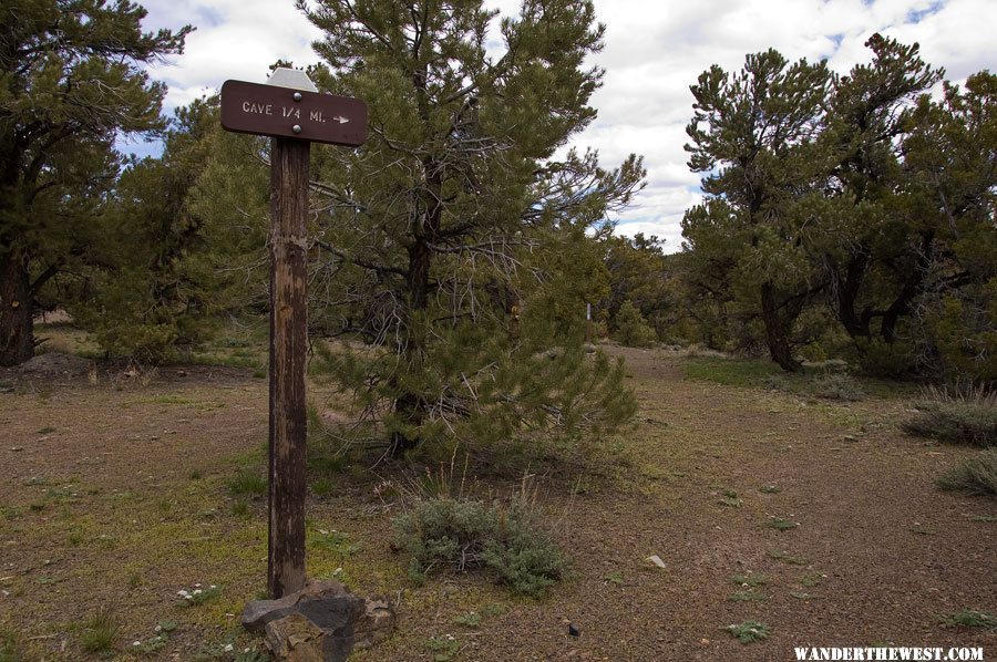 Toquima Cave Campground